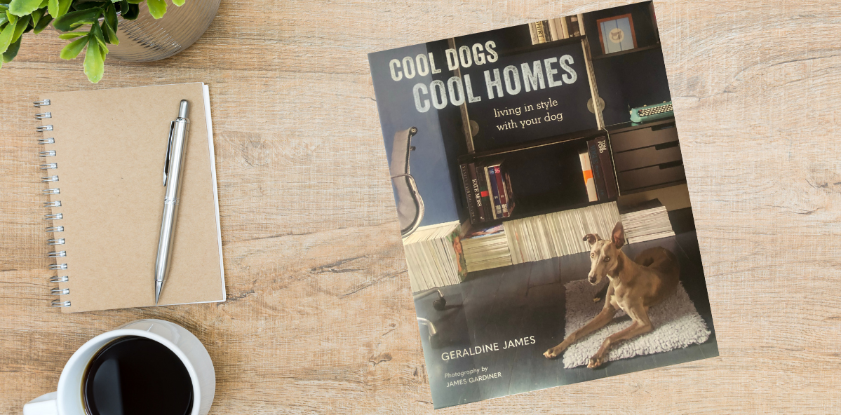 living in style with your dog