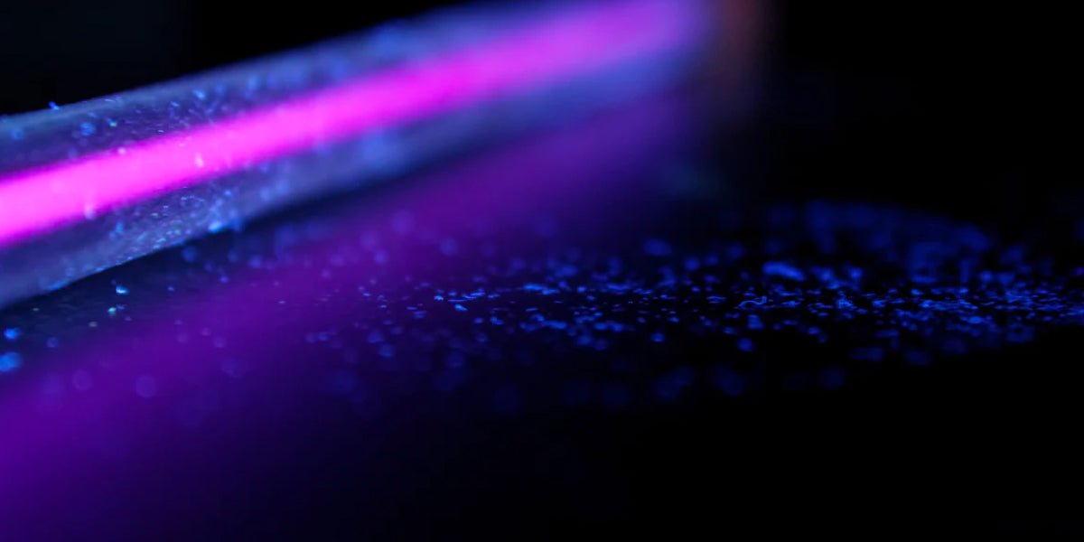 using a blacklight to find pet urine